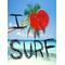 [D:F9B7]ＳURF☆