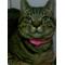 §愛猫と日向ぼっこ§