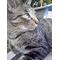 [A:F465]猫写メ倶楽部[A:F465]