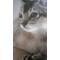 [D:F946]猫大好き倶楽部