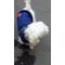 [V:475E]FREEDOM[V:475E]