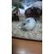 [D:F99F]同年代[D:F99F][D:F9CC]
